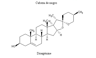 Cabeza de negro