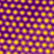Structure de Turing dans la raction CIMA