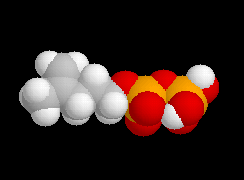 Pyrophosphate d'isopentnyle