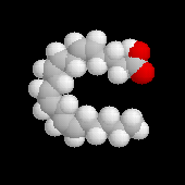 Acide arachidonique